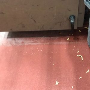 Meet your Posher, Ramiro